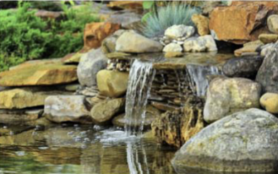 Ponds: Outdoor Water Features You’ll Want for Your New Lawn