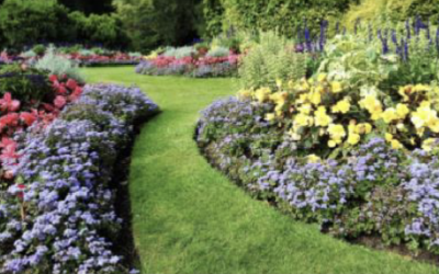 Get to Know the Range of Services Landscaping Companies Provide